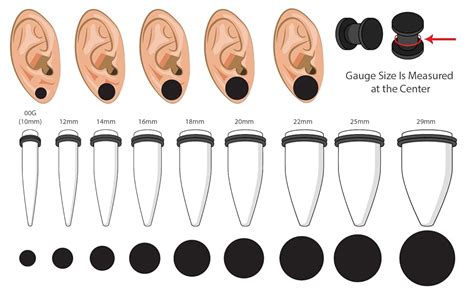 1 gauge plugs|Amazon.com: 1 Gauge Ear Plugs